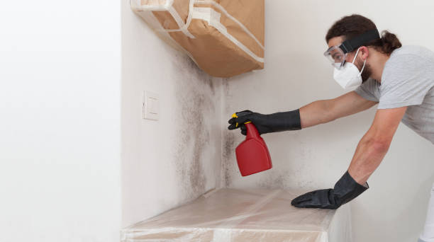 Professional Mold Inspection And Testing technician working in Honor, MI